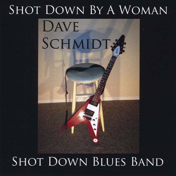 Cover art for Shot Down By a Woman